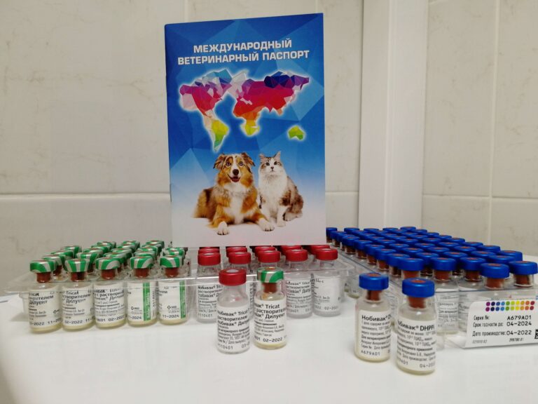 Вакцина Нобивак для собак и кошек