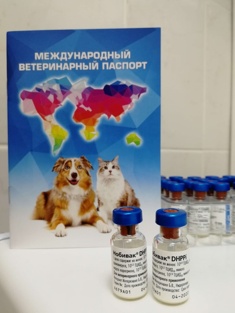 Нобивак dhppi НЕТ В НАЛИЧИИ вакцина для собак