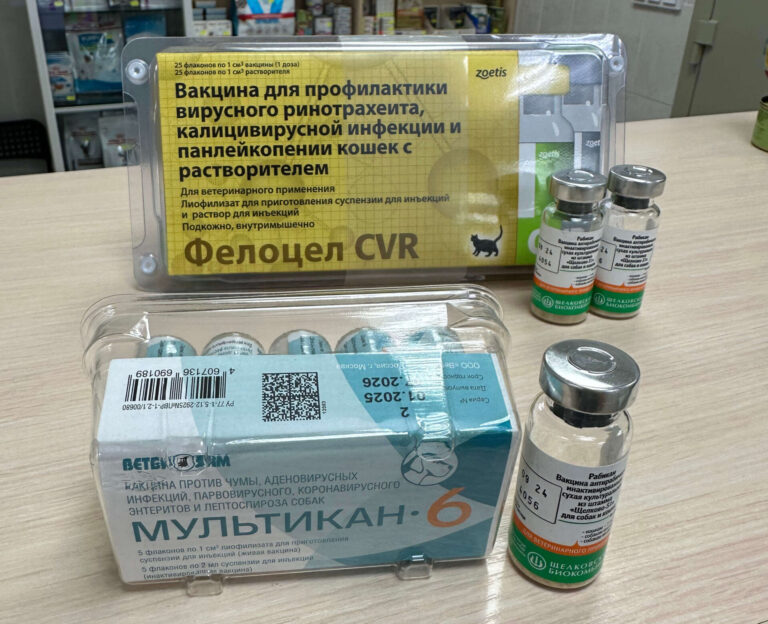 Вакцины для собак и кошек Новосибирск