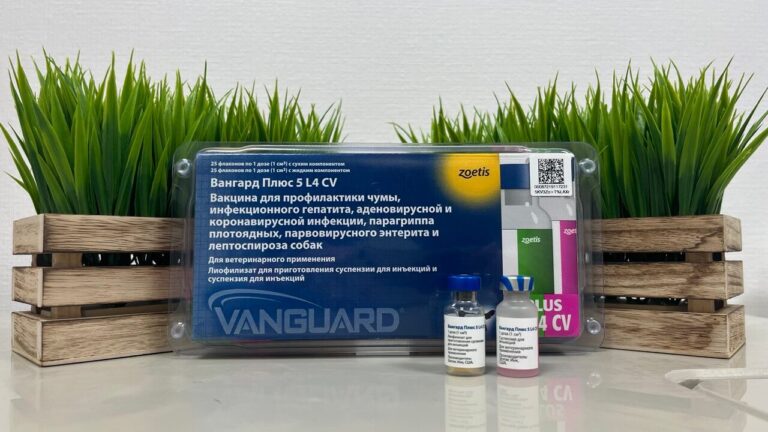 Акция! Вангард Плюс 5 L4 CV